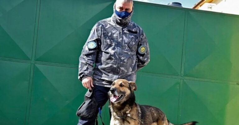 Condenaron al falso perito que adulteró pruebas en el caso Facundo Astudillo para “tirarle un Maldonado a Kicillof”