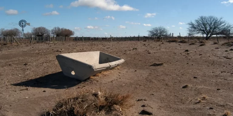 Extienden la declaración de emergencia agropecuaria en Chaco y Santa Fe