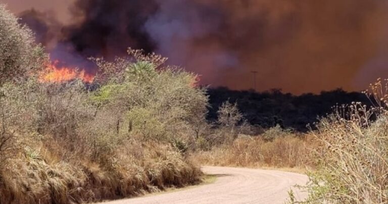 Trabajo conjunto para proteger los ecosistemas cordobeses