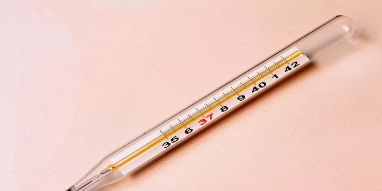 Detectaron un brote de fiebre tifoidea en la provincia de Buenos Aires