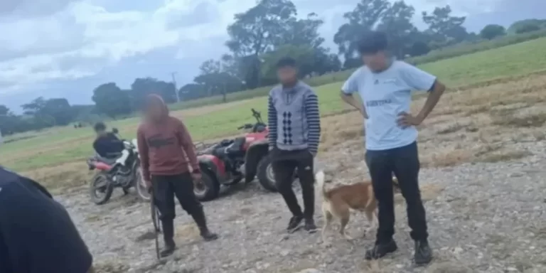 Maltrato animal: un joven fue condenado a dos años de prisión por matar a una perra