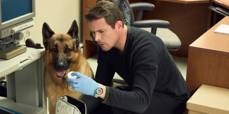Hudson & Rex regresan con una nueva temporada