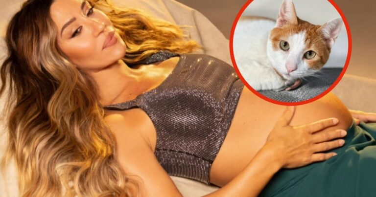Jimena Barón compartió la particular actitud que tiene su gato desde que está embarazada