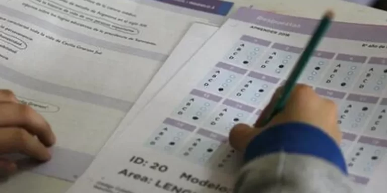 Más de la mitad de los estudiantes de tercer grado no alcanzó el nivel esperado en lectura