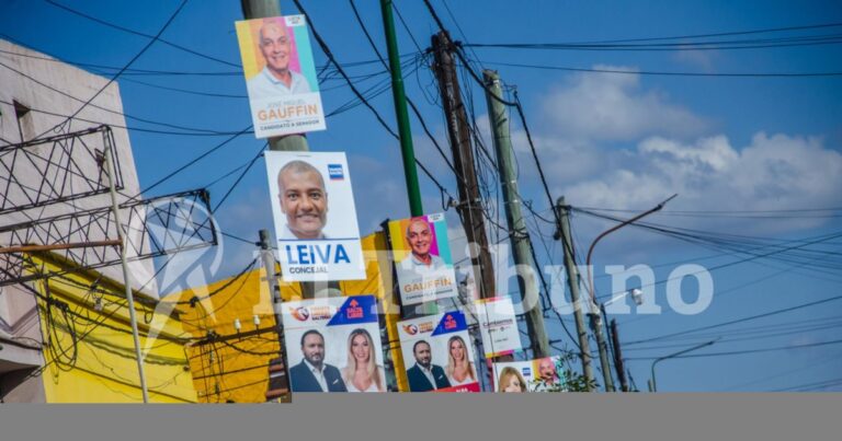 Carteles políticos en lugares prohibidos: el lunes comienza su remoción oficial