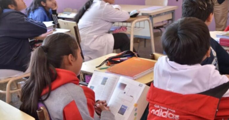 El 45,8% de los chicos de 3° de Salta tuvo un buen desempeño en comprender textos en la prueba Aprender