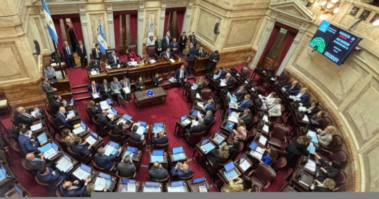 Uno por uno, cómo votó cada senador en la sesión que rechazó la ley de Ficha Limpia