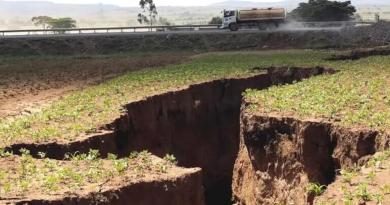 ¿África se está partiendo en dos? Una gigantesca grieta avanza en el continente y podría crear un océano