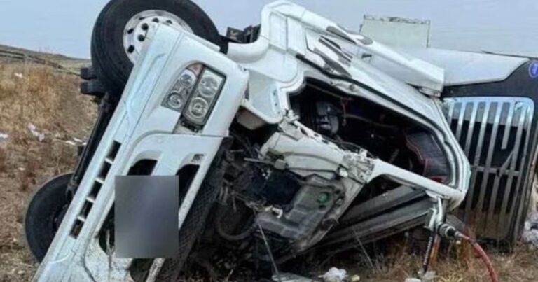 VIDEO Indignante: saquearon la carga mientras el cuerpo del camionero yacía en la ruta
