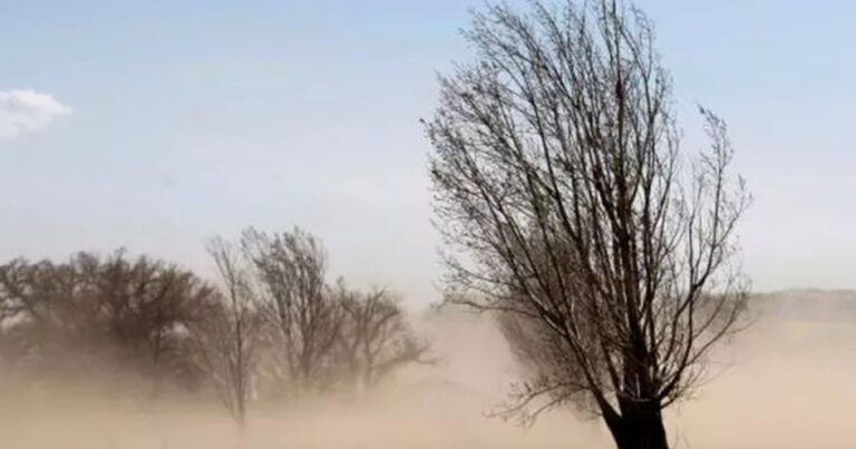 Alerta por vientos intensos en la Puna de Salta: ráfagas podrían superar los 100 km/h