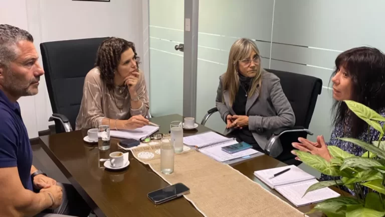 Analizan un proyecto de ley que fortalezca la Educación Emocional en las escuelas salteñas