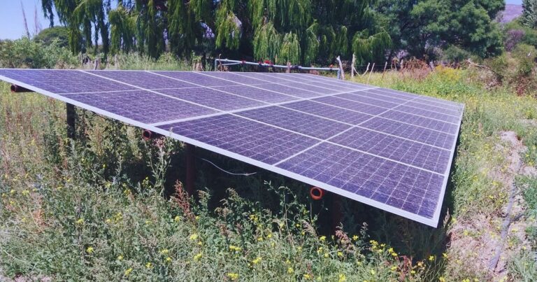 ¿Qué pasa cuando se combina energía solar con riego eficiente?