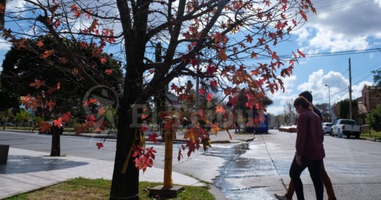 Clima en Salta. Un leve descenso de temperatura para la ciudad y fuertes vientos para Cafayate