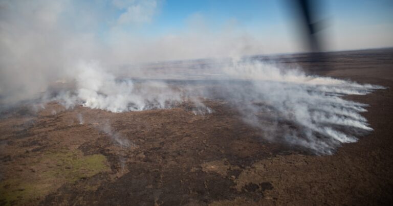 Fijaron la fecha de inicio del juicio por los incendios en el Delta del Paraná que consumieron más de 6 mil hectáreas