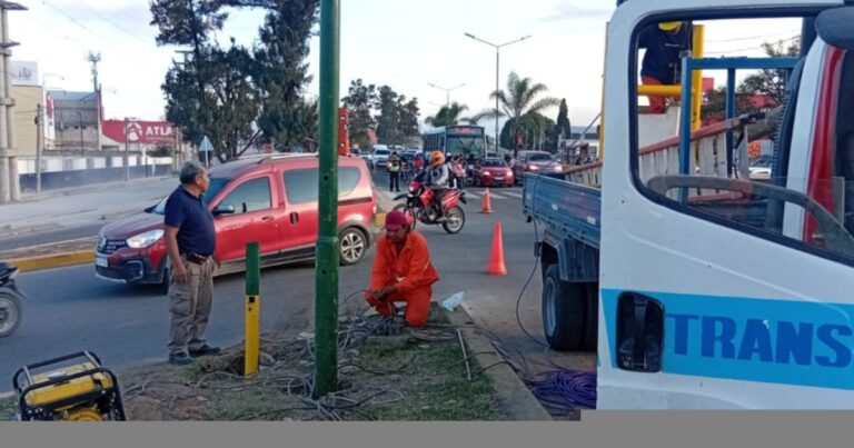 Camionero borracho causa destrozos en la avenida Paraguay: “Si tomas, no manejes”, alerta Matías Assenato