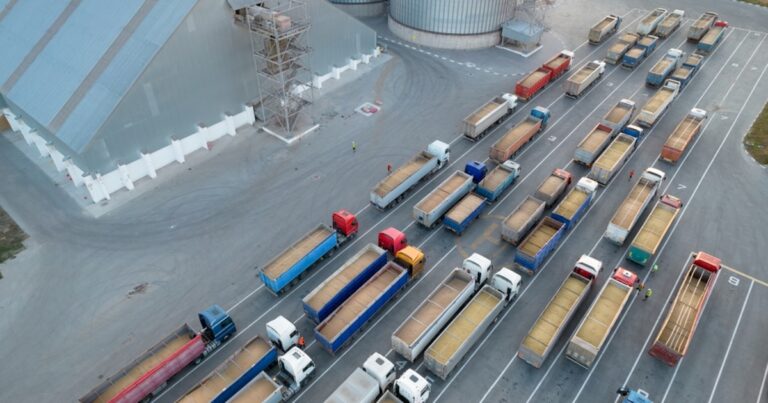 Nuevo régimen digital obligatorio para el transporte y almacenaje de granos