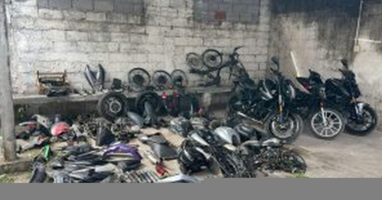 Cayeron “Los reyes del desguace”: desbaratan una red que robaba y desarmaba motos en el Valle de Lerma