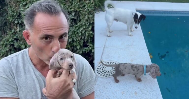 Yanina y Diego Latorre presentaron a Ralph, el perro salchicha que adoptaron: “Se agrandó la familia”
