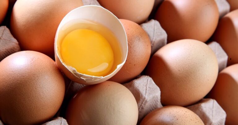 Huevos, biogás y fertilizantes: ¿una fórmula circular para el agro?