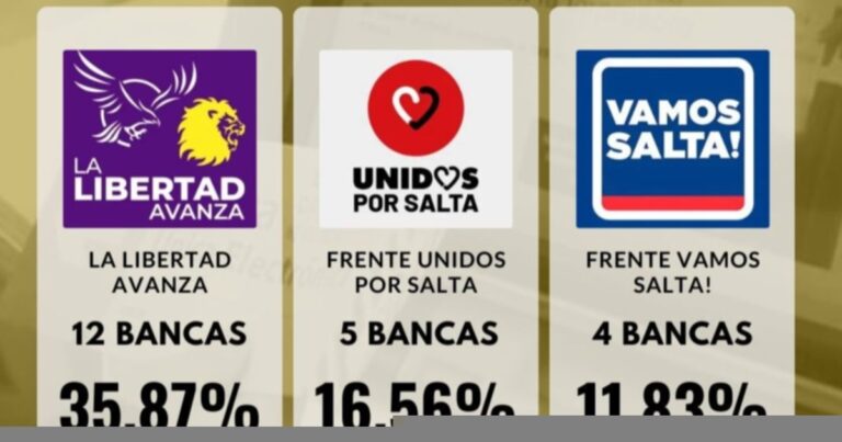 La Libertad Avanza se quedó con 12 de las 21 bancas para convencionales constituyentes