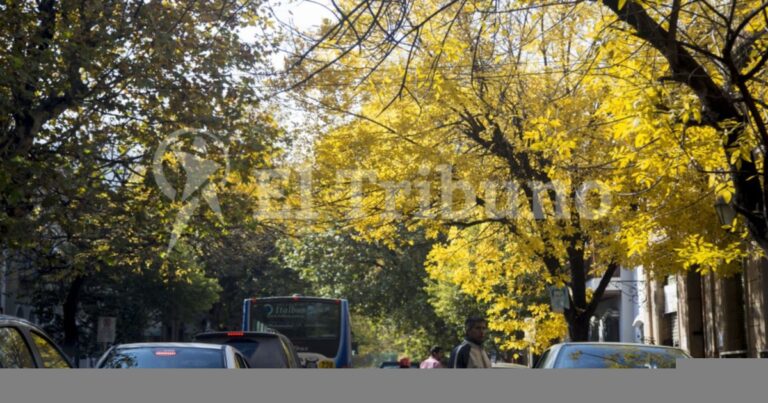 Clima en Salta. La ciudad tendrá otra semana agradable y finde mejor: mirá lo que dice el pronóstico