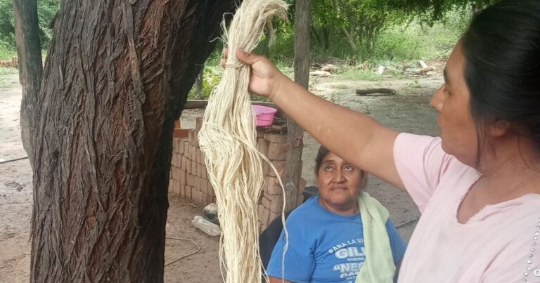 Gran Chaco Resiliente: un proyecto de esperanza y capacitación en medio de la crisis