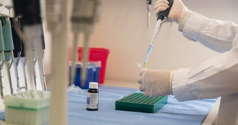 Cannabis medicinal: Salta se prepara para una jornada clave sobre el desarrollo del Reprocann y la Economía del Conocimiento