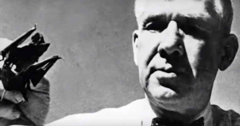 El arma más delirante de la Segunda Guerra Mundial: murciélagos convertidos en bombas que destruyeron una base por accidente