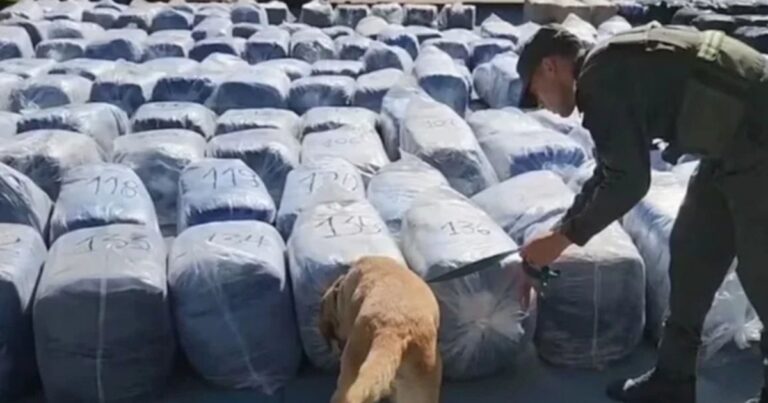 Narcotráfico: Las toneladas de hojas de coca incautada despiertan alarmas
