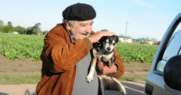 El último deseo de Pepe Mujica: será enterrado bajó un árbol de su chacra junto a Manuela, su perra de tres patas