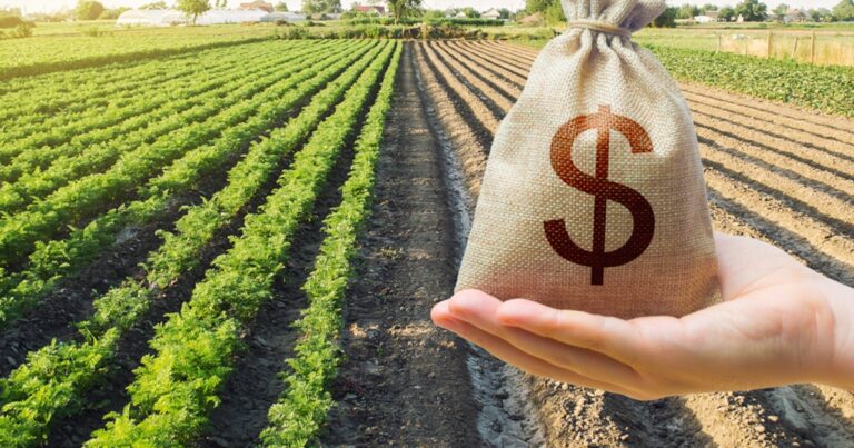 Incertidumbre en el campo en una “campaña overa”