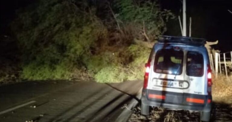 Fuerte viento en Cafayate: se cortó la ruta nacional 40 y hubo cortes de luz e internet