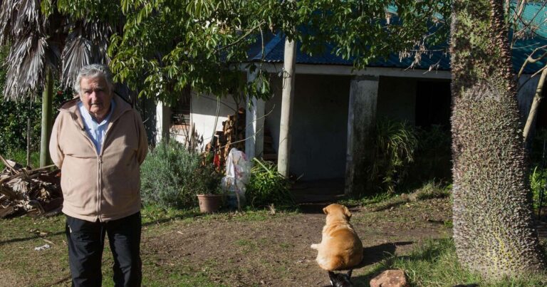 La sabiduría de Pepe Mujica y Francisco