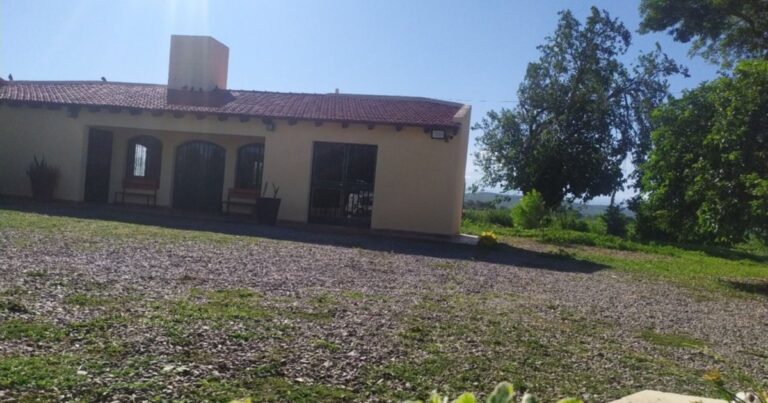 Crematorio Güemes: un último adiós con amor y dignidad para nuestras mascotas queridas