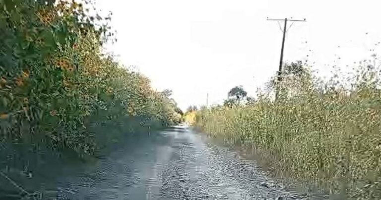 Quijano: Un camino olvidado a pocos kilómetros del centro del pueblo