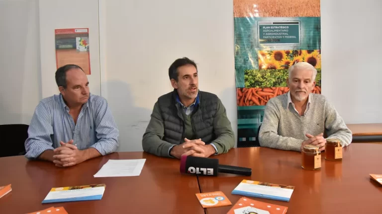 Semana de la Miel: se podrá conocer los apiarios, hacer degustaciones, capacitaciones y compras