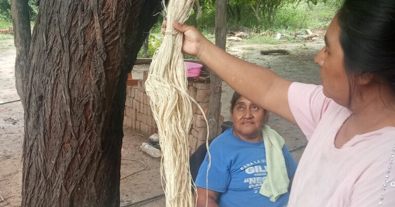 “Herencia Viva”, la muestra de las comunidades chaqueñas en la Usina