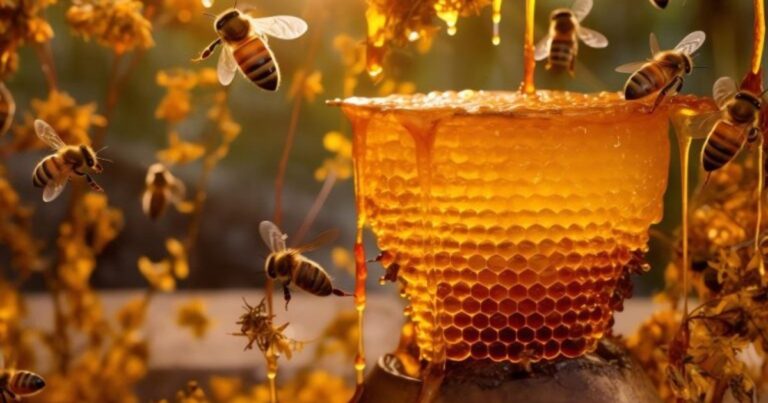 Saludable, rica y combinable con todo: la miel, un producto bien salteño