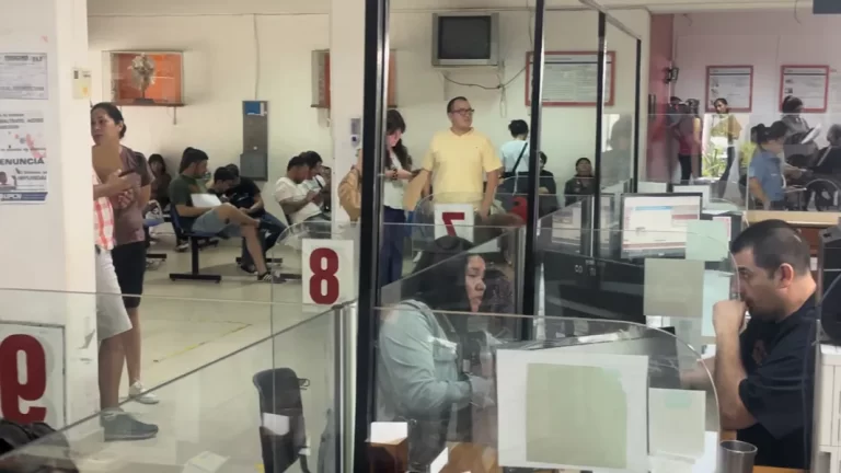 El IPV reanuda la atención al público los martes por la tarde