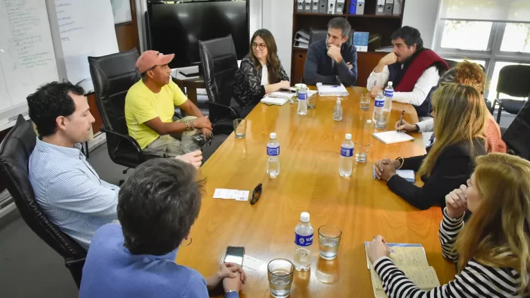 Evalúan posibilidades para la producción sustentable de fibra de vicuña