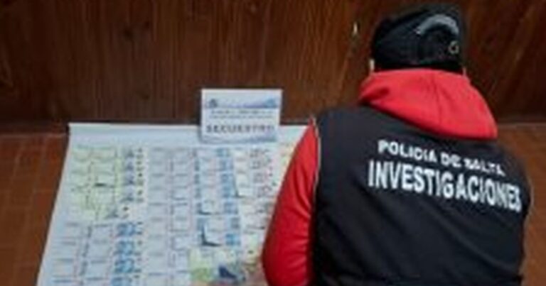 Detenidos tras un robo violento en San Lorenzo tras allanamientos en la capital salteña