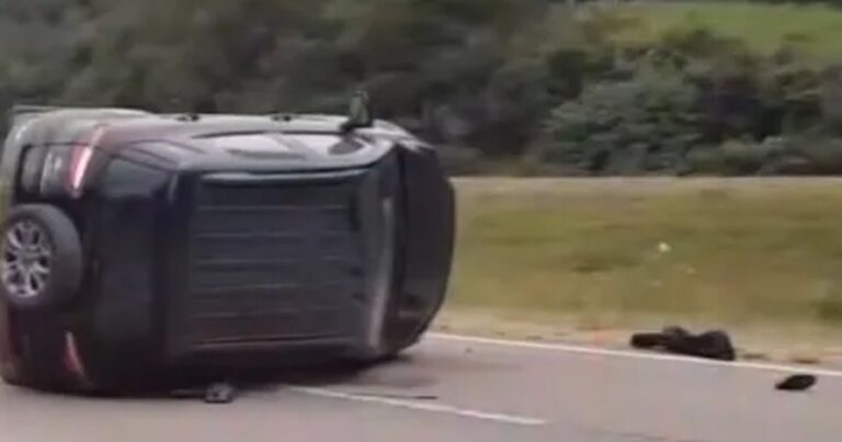 Un caballo suelto causa un grave accidente en la Ruta 9: doble choque y vuelco de un vehículo