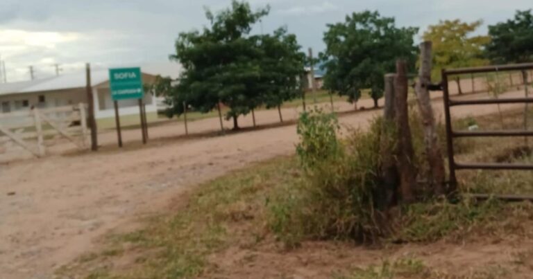 Trágico accidente en una finca de General Güemes: murió aplastado por un acoplado