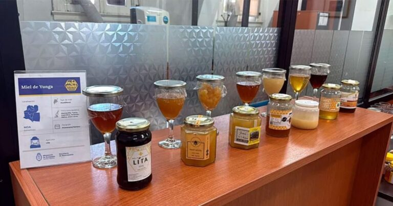 Semana de la miel, con varias actividades