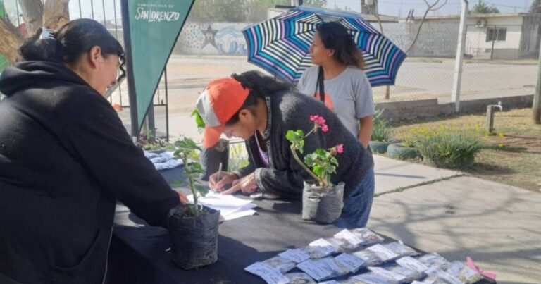 Retoman la entrega de semillas para vecinos