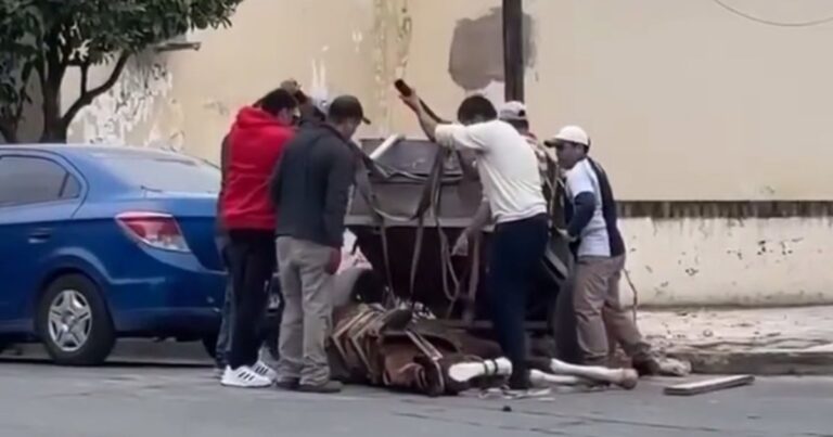 Crueldad sin freno: un caballo se desplomó por el esfuerzo en pleno centro de Metán y desató indignación