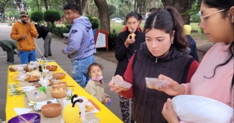 Colorida muestra por el Día Mundial de las Abejas