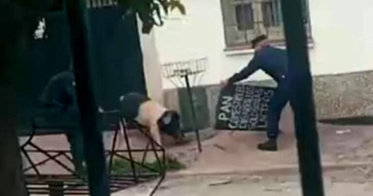 “¡Atrapen al cuchi!” Un chancho fugitivo en Villa Chartas mantuvo en vilo a los vecinos y a la Policía