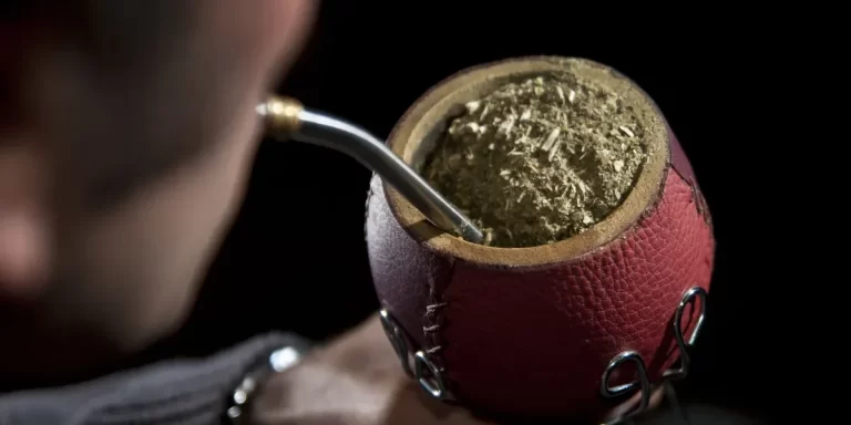 Córdoba: el Gobierno desmintió que se vaya a multar a quienes tomen mate al volante