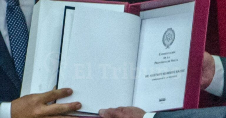 La continuidad de López Viñals contradice la Constitución